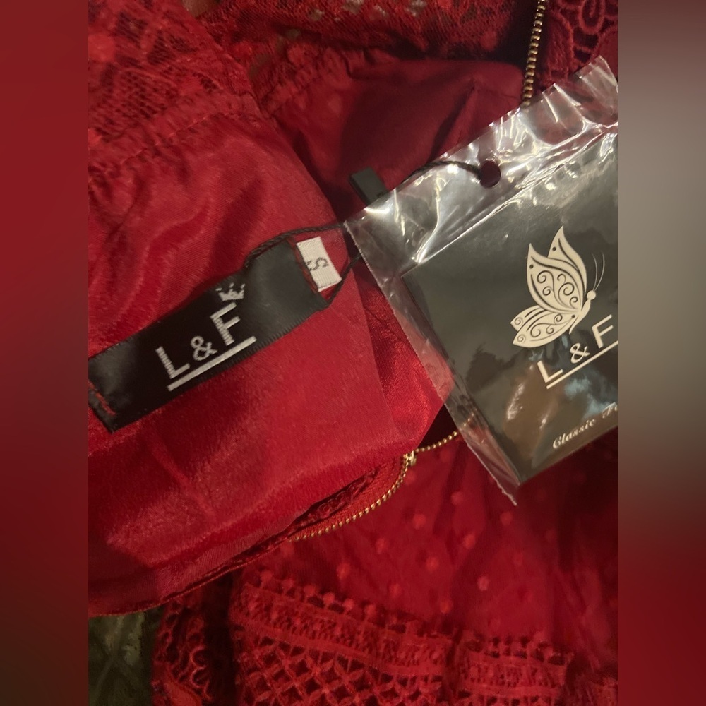 L & F~NWT~Lovely~Tiered Ruffle~Sheer Netting~Embroidered Lace~Mini Dress~Size S - Picture 2 of 15